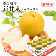 2026 鳥取県産 梨 新甘泉 しんかんせん 青秀 16～20玉入り 約5kg なし ナシ フルーツ 9月上旬頃より順次…