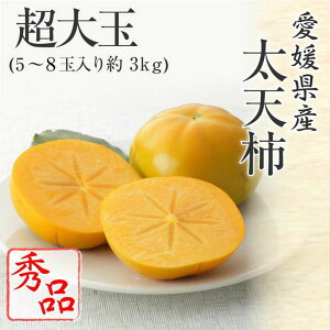 (11{蔭) QY V` Gi  5`8ʓ 3kg `  JL t[c