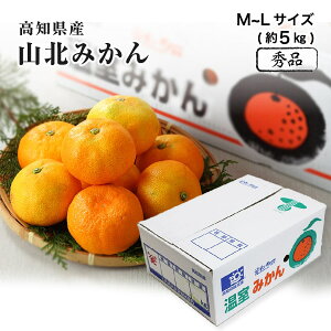 みかん 5kgの人気商品 通販 価格比較 価格 Com