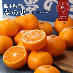 2025 F{Y B݂ ̌b x12xȏ Gi S`LTCY 2.5kg p Mtg ݂ t[c 11{蔭