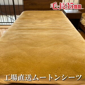 yTCYI[_[\zynEX͂IWizޗǌ̃[gHꂩ璼ڎdǎȃI[XgAgp[gV[cyђ35mmz_uTCYi140×200c