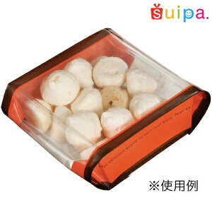 y12/4`12/11OFFzoANY GZ hD~ZbN bh  99×43×220 2,000