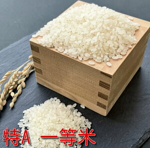 ߘa7NY {錧Y ЂƂ߂ڂ wʍ͔|āx 5k