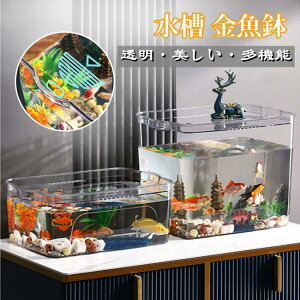   琅 vX`bN eE AN ϗtA CeA e e[u ANAE {E | e  _J  Ce