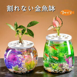  ی^  I[C 琅 _J  _J AN ϗtA CeA e e[u ANAE {E | e  _J  k