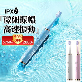 電動歯ブラシ IPX7防水 180日使用 替えブラシ付 回転式 歯ブラシ 電動歯磨き 音波振動歯ブラシ 歯垢除去 電動ハブラシ デンタルケア USB充電 はみがき プレゼント