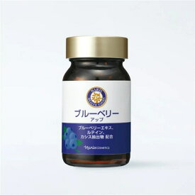 ナリス ブルーベリー アップ 27g（450mg×60粒）