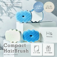 ヘアブラシ ヘアケア ブラシ ショッパー プレゼント ギフト 誕生日 お祝い プチギフト 持ち運び コンパク…