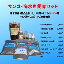 楽天市場】海水魚 飼育セットの通販