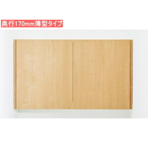 TSF-406S@s170mm^Cv@NV@gC[@ԌłAbp[Lrlbg@X^_[hJ[