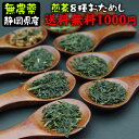 8種類の無農薬煎茶(10g×8個)のお試しセットメール便送料無料★水車むら農園　1000円ポッキリ