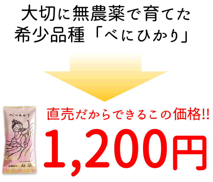 楽天市場】『べにひかり』100g希少品種の国産無農薬紅茶【無添加】【国産紅茶・静岡産】【通販】よりどり3袋ごとでメール便送料無料対象商品です : 無農薬 茶と紅茶の水車むら農園 楽天市場】『べにひかり』100g希少品種の国産無農薬紅茶【無添加】【国産紅茶・静岡産】【通販】よりどり3袋ごとでメール便送料無料対象商品です : 無農薬 茶と紅茶の水車むら農園
