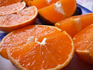 傫߁؎̖_݂iB݂j8kg y󂠂zyYzyÉYzikCAA͒ǉ800~j