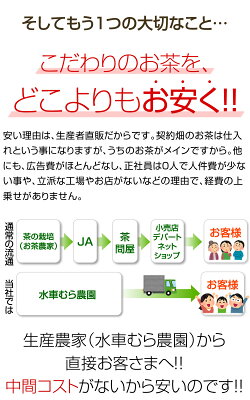 楽天市場 しょうが紅茶ティーバッグ 3g 30包 無農薬栽培国産紅茶と鹿児島県産黄金しょうが使用の生姜紅茶ティーバッグ 無添加 水車むら農園 国産紅茶 和紅茶 地紅茶 静岡産 無農薬茶と紅茶の水車むら農園