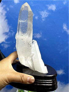 q}YNX^[i΁jy tzyzŋ̏򉻗͂ 202B76/B88B6