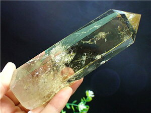 �V�g�����N�H�[�c �Z�p�� ���΁y���������z �p���[�X�g�[�� �V�R�� �����ɐ� ���^ 313D06B/BYTH186D2