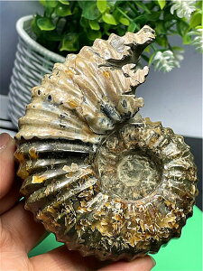 Md|AiCgDIp[ΕW{ 199U19/B88U3