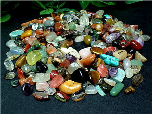 �V�R���낢��V�R�΃`�b�v 2000G �y���������z15mm-30mm 52Z07/B82Z11