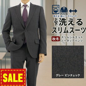 【24%OFF】 スーツ スリム メンズ グレー 無地柄 ピンチェック ストレッチ 防シワ ナロースーツ 2025 新作 秋冬 春 即日出荷 ノータックパンツ 洗える 家庭洗濯 ウォッシャブル機能 面接 リクルート 就職 結婚式 成人式 ニ次会 同窓会 卒業式 入社式 謝恩会 2FSK31-33