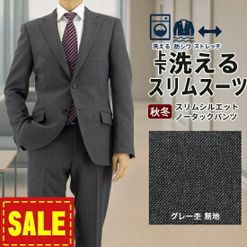 【24%OFF】 スーツ スリム メンズ グレー 無地 ストレッチ 防シワ ナロースーツ 2025 新作 秋冬 春 成人式 卒業式 フレッシュマン 即日出荷 ノータックパンツ 洗える 家庭洗濯 ウォッシャブル機能 面接 リクルート 就職 結婚式 ニ次会 2FSK32-13