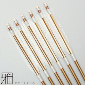 |  W~ 6{gzCgO[X 2015Vtgou[J[Fn yzR|X suizan񂫂イĂyYA20850z