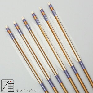 |  W~ 6{gzCgO[X 2015Vtgou[J[Fn yzR|X suizan񂫂イĂyYA20860z