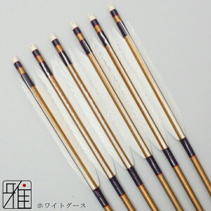 |  W~ 6{gzCgO[X 2015Vtgou[J[Fn yzR|X suizan񂫂イĂyYA20861z