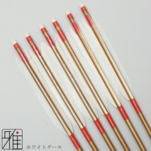 |  W~ 6{gzCgO[X 2015Vtgou[J[Fn yzR|X suizan񂫂イĂyYA20863z