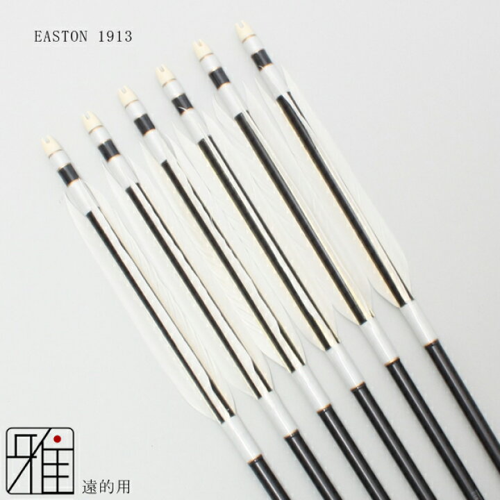 弓道用 遠的矢 EASTON 1913 95cm 6本組（イーストンカーボン 8023 近的 