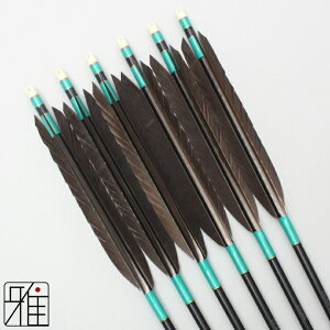 |  W~ 6{gH H 1913VtgFΌn yzR|X suizan񂫂イĂ yYA19574z
