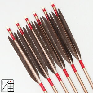 �|�� �� �W�������~���� 6�{�g���H�� ��H 2015�V���t�g�������F�Ԍn �y���������z���R�|��X suizan�������񂫂イ���Ă� �yYA201010�z