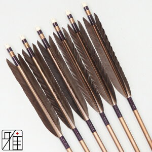 �|�� �� �W�������~���� 6�{�g���H�� ��H 2015�V���t�g�������F���n �y���������z���R�|��X suizan�������񂫂イ���Ă� �yYA201011�z