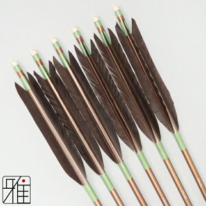 �|�� �� �W�������~���� 6�{�g���H�� ��H 2015�V���t�g�������F�Όn �y���������z���R�|��X suizan�������񂫂イ���Ă� �yYA201012�z