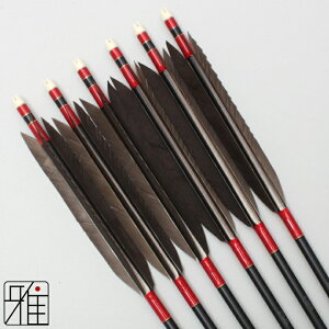 |  W~ 6{gH H 2115FԌn yzR|X suizan񂫂イĂ yYA21587z