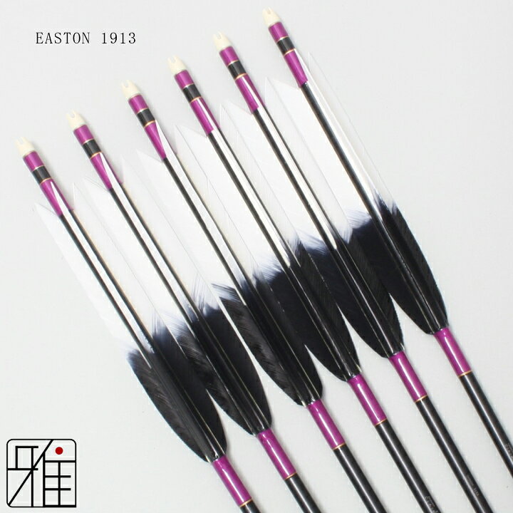EASTON 弓道矢 6本セット ケース付き XX75 黒羽 ジュラルミン弓矢 楽天 