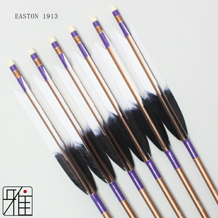楽天市場】弓道 矢 ジュラルミン矢 6本組ターキー元黒染羽 1913 