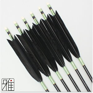 |  W~ 6{g^[L[PFH 1913VtgFΌn yzR|X suizan񂫂イĂ yYA19190z