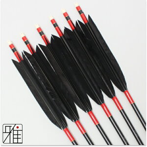 |  W~ 6{g^[L[PFH 1913VtgFn yzR|X suizan񂫂イĂ yYA19193z