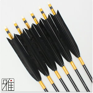 |  W~ 6{g^[L[PFH 1913VtgFn yzR|X suizan񂫂イĂ yYA19194z