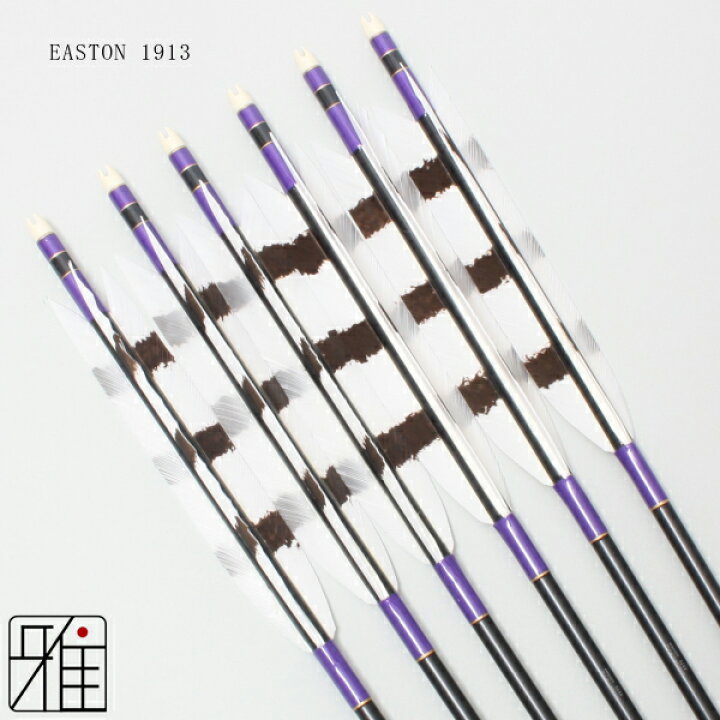 楽天市場】弓道 矢 ジュラルミン矢 6本組ターキー手描染羽 1913 