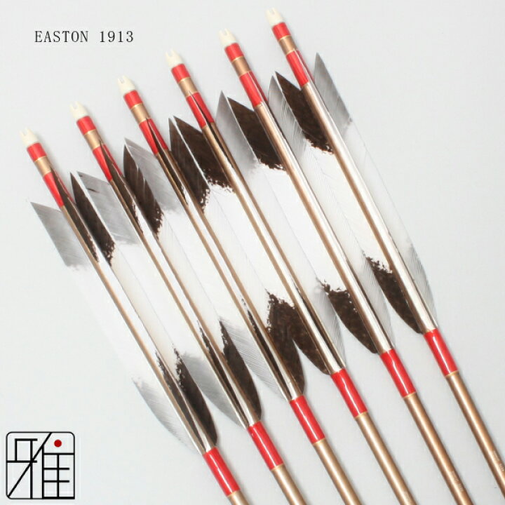 楽天市場】弓道 矢 ジュラルミン矢 6本組ターキー手描染羽 1913 