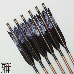 |  W~ 6{g^[L[H 1913VtgFn yzR|X suizan񂫂イĂ yYA19464z
