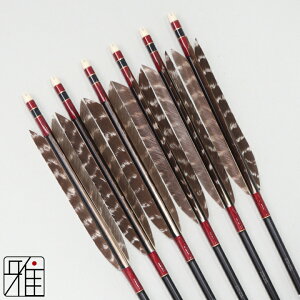 |  W~ 6{g^[L[gH 2015VtgFԌnyzR|X suizan񂫂イĂ yYA202059z