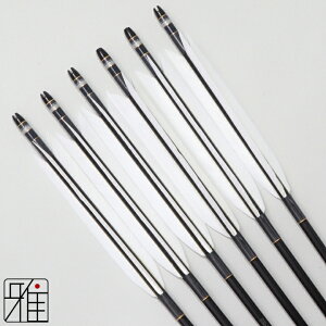 |  W~ 6{g^[L[H 2015VtgFDnbL yzR|X suizan񂫂イĂ yYA203026z