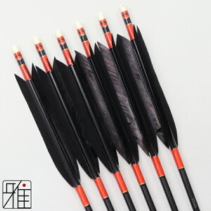 |  W~ 6{g^[L[PFH 2015VtgFnbL yzR|X suizan񂫂イĂ yYA203008z