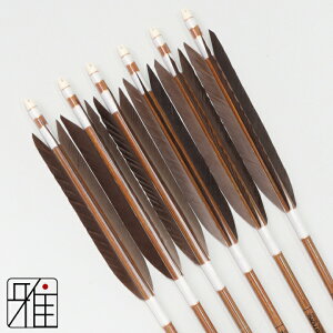 |  C[Xg J[{ 6{gH 8023Vtg:n yzR|X suizan񂫂イĂ yYA808200z