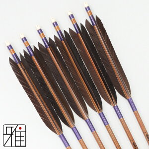 |  C[Xg J[{ 6{gH 8023Vtg:n yzR|X suizan񂫂イĂ yYA808202z