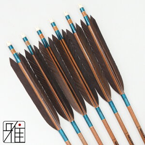 |  C[Xg J[{ 6{gH 8023Vtg:Όn yzR|X suizan񂫂イĂ yYA808203z