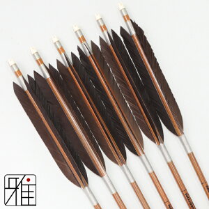 |  C[Xg J[{ 6{gH 8023Vtg:Dn yzR|X suizan񂫂イĂ yYA808205z