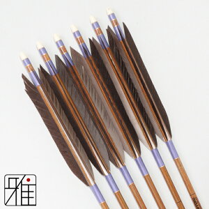 |  C[Xg J[{ 6{gH 8023Vtg:n yzR|X suizan񂫂イĂ yYA808206z